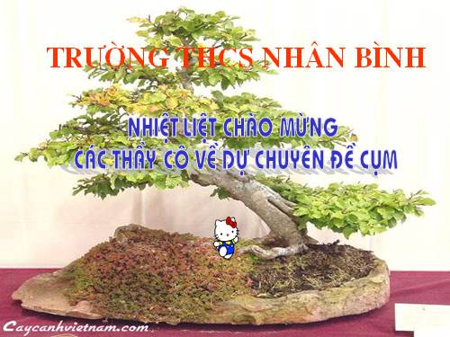 Chương III. §7. Tứ giác nội tiếp