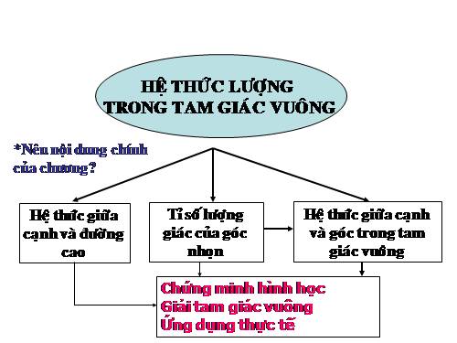 Ôn tập Chương I. Hệ thức lượng trong tam giác vuông