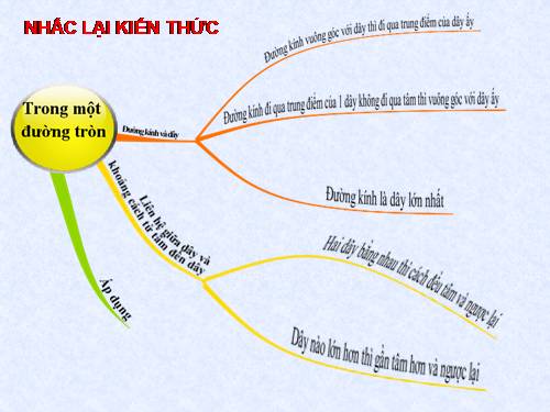 Các bài Luyện tập