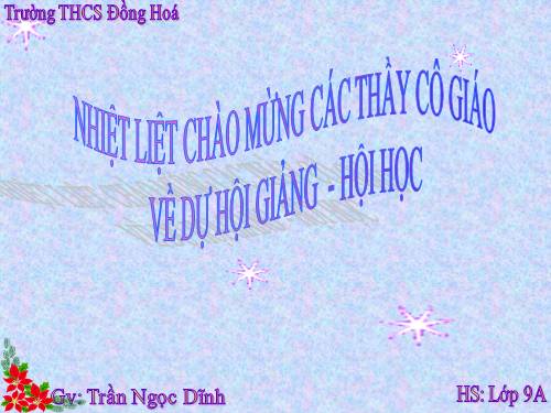 Các bài Luyện tập
