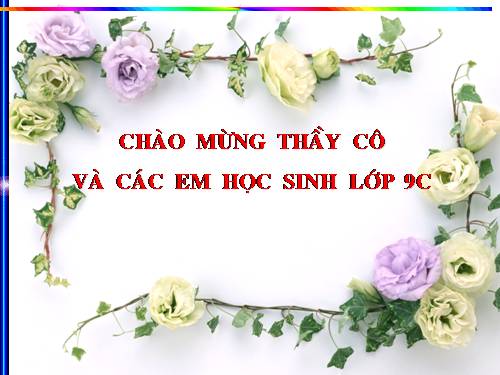 Chương II. §1. Sự xác định đường tròn. Tính chất đối xứng của đường tròn