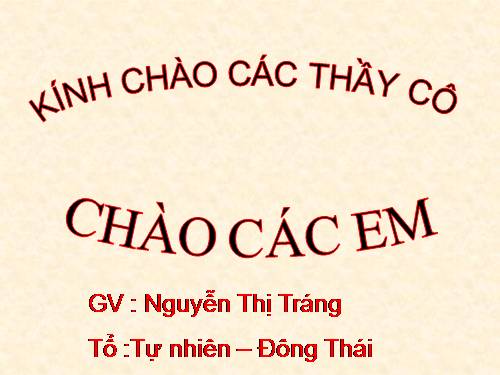 Các bài Luyện tập