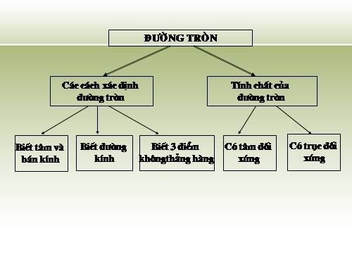 Các bài Luyện tập