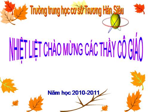 Các bài Luyện tập