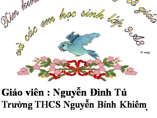 Các bài Luyện tập