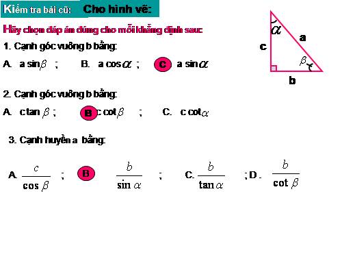 Các bài Luyện tập