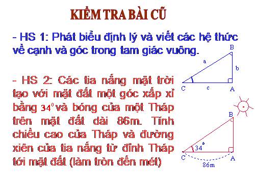 Các bài Luyện tập