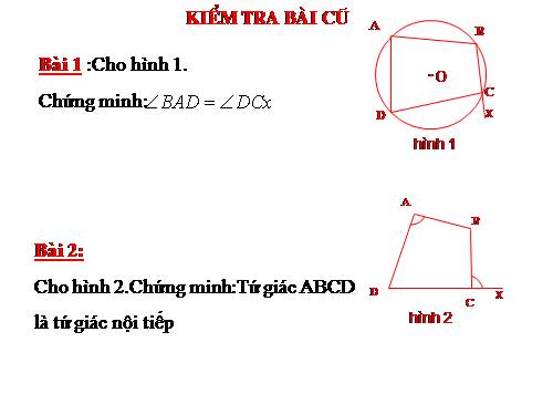 Các bài Luyện tập