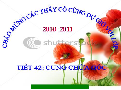 Chương III. §6. Cung chứa góc