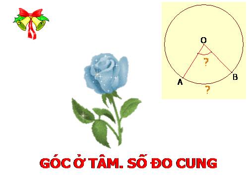 Chương III. §1. Góc ở tâm. Số đo cung