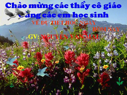 Chương III. §10. Diện tích hình tròn, hình quạt tròn