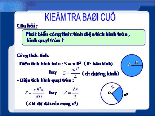 Các bài Luyện tập