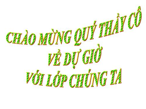 Các bài Luyện tập