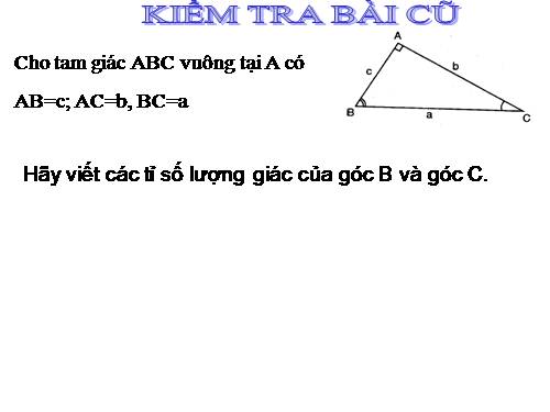 Chương I. §4. Một số hệ thức về cạnh và góc trong tam giác vuông