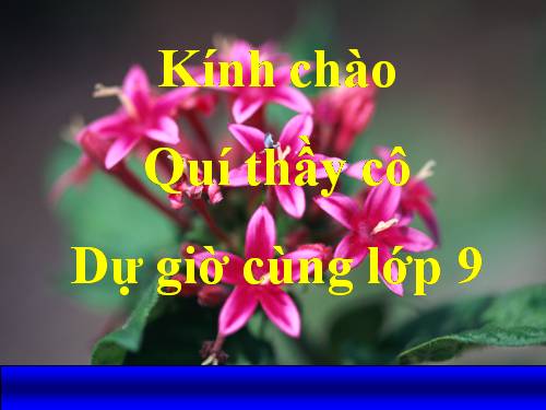 Chương III. §7. Tứ giác nội tiếp