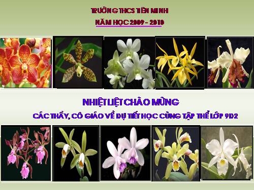 Các bài Luyện tập