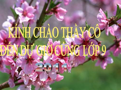 Chương III. §5. Góc có đỉnh ở bên trong đường tròn. Góc có đỉnh ở bên ngoài đường tròn