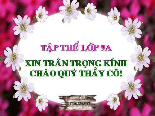 Chương III. §7. Tứ giác nội tiếp