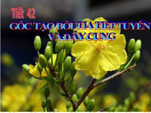 Chương III. §4. Góc tạo bởi tia tiếp tuyến và dây cung