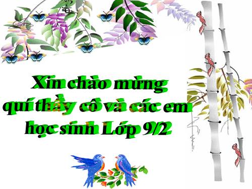 Chương III. §10. Diện tích hình tròn, hình quạt tròn