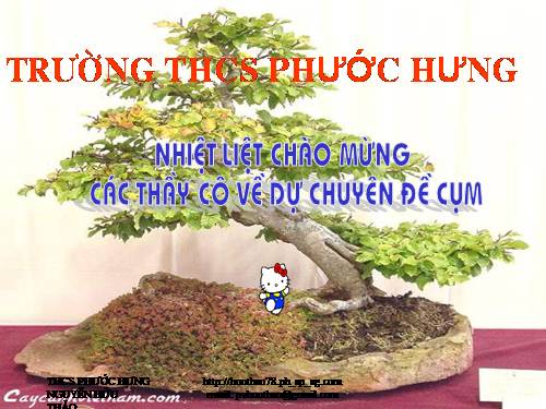 Chương III. §7. Tứ giác nội tiếp