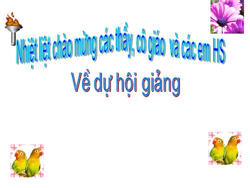 Chương III. §7. Tứ giác nội tiếp