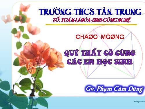 Chương III. §3. Góc nội tiếp