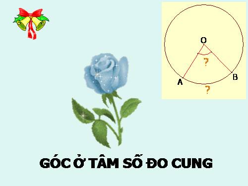 Chương III. §1. Góc ở tâm. Số đo cung