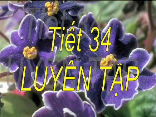 Các bài Luyện tập