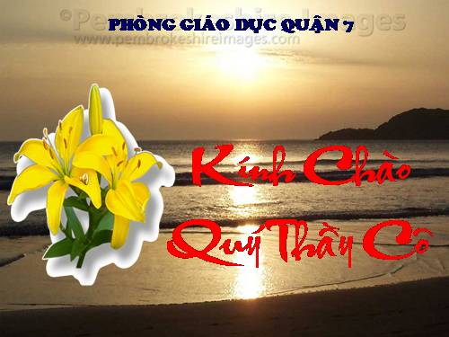 Chương III. §7. Tứ giác nội tiếp