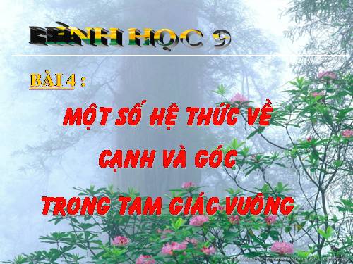 Chương I. §4. Một số hệ thức về cạnh và góc trong tam giác vuông