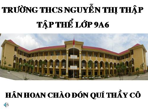 Các bài Luyện tập