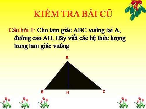 Ôn tập Chương I. Hệ thức lượng trong tam giác vuông