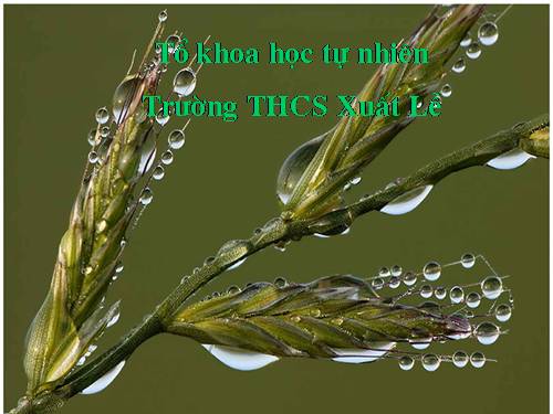 Chương III. §5. Góc có đỉnh ở bên trong đường tròn. Góc có đỉnh ở bên ngoài đường tròn