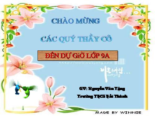 Các bài Luyện tập