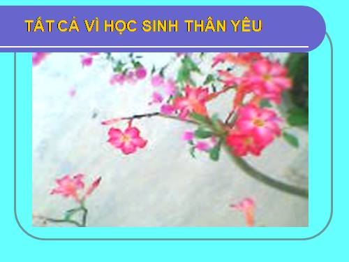 Chương III. §7. Tứ giác nội tiếp