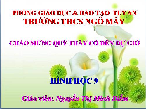 Chương III. §8. Đường tròn ngoại tiếp. Đường tròn nội tiếp