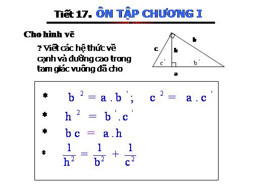 Ôn tập Chương I. Hệ thức lượng trong tam giác vuông