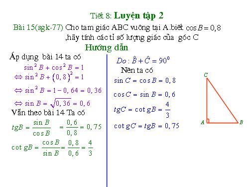 Các bài Luyện tập