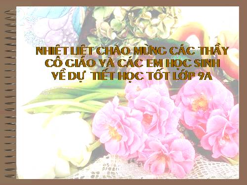 Chương I. §2. Tỉ số lượng giác của góc nhọn