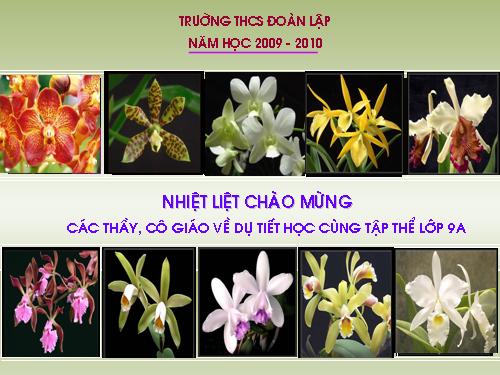 Chương III. §7. Tứ giác nội tiếp