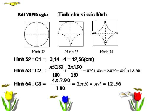 Các bài Luyện tập