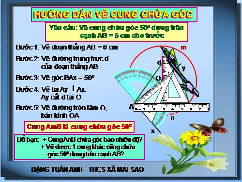 Cung chứa góc