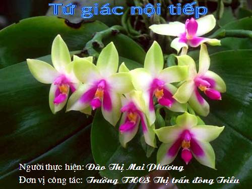 Chương III. §7. Tứ giác nội tiếp