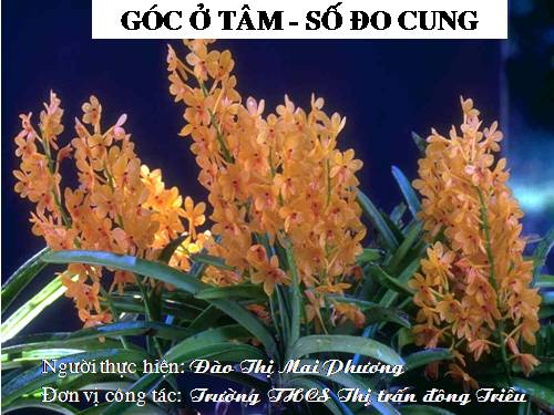 Chương III. §1. Góc ở tâm. Số đo cung