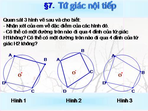 Chương III. §7. Tứ giác nội tiếp