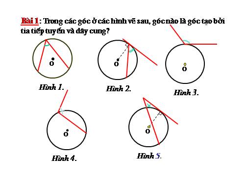 Các bài Luyện tập