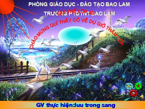 Các bài Luyện tập