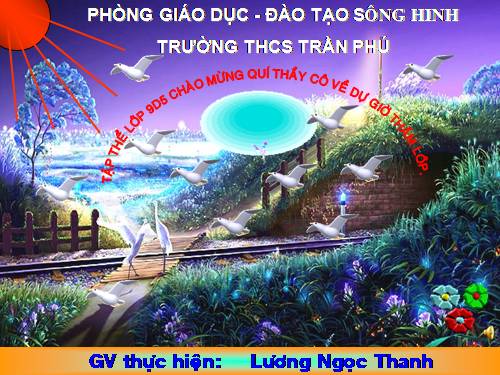 Các bài Luyện tập