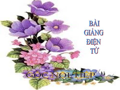 Chương III. §3. Góc nội tiếp